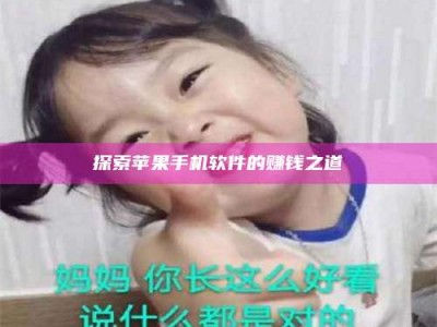 武安探索苹果手机软件的赚钱之道