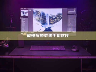 武安能赚钱的苹果手机软件